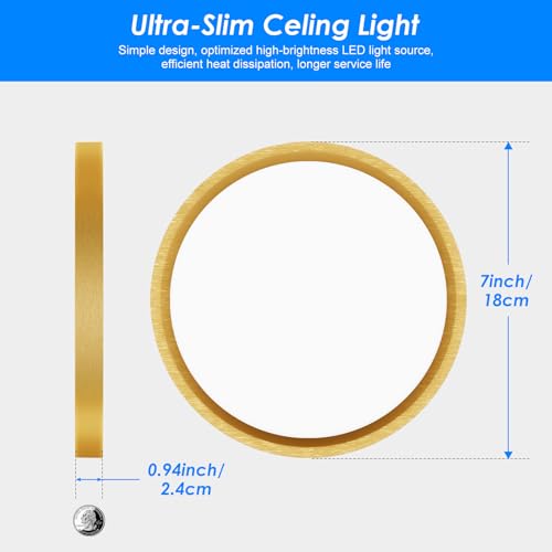7 Inch LED Ceiling Light Gold (2 Count)