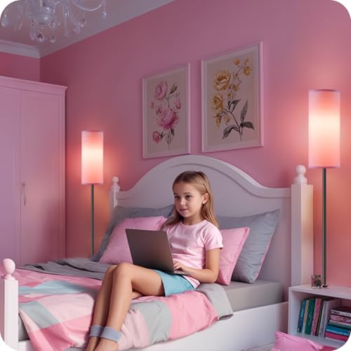 2 Pack Dimmable Pink Floor Lamps for Living Room with 2 Remotes and Foot Switch (2 Count)