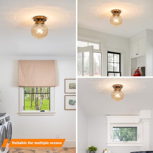 Semi Flush Mount Ceiling Light