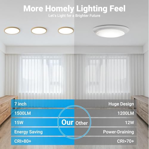 2 Pack LED Flush Mount Ceiling Light (2 Count)
