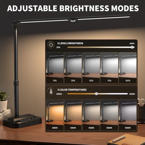 LED Desk Lamp