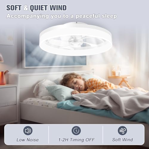 Low Profile Ceiling Fans with Lights and Remote