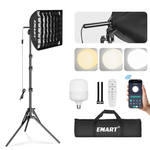 Softbox Lighting Kit with Grid