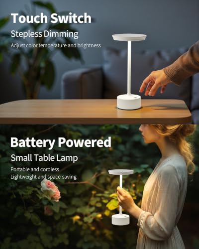 Rechargeable Table Lamps Set of 2 (2 Count)