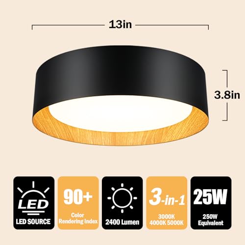 Flush Mount Ceiling Light