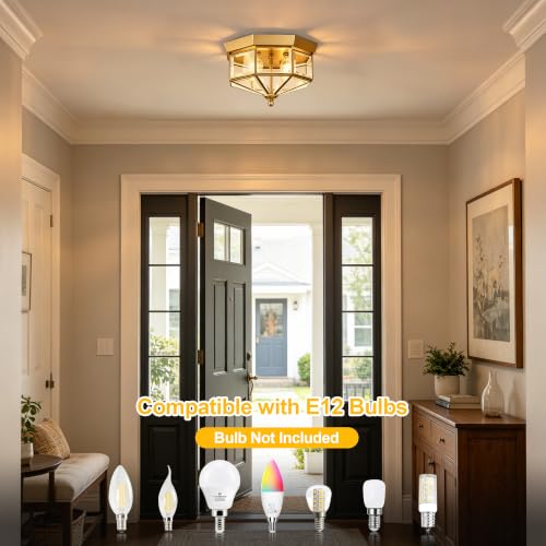 Flush Mount Outdoor Ceiling Light Fixture