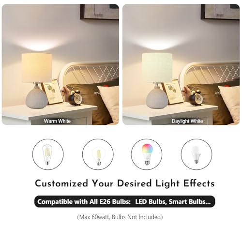 Earth Brown Rustic Ceramic Table Lamp Set of 2