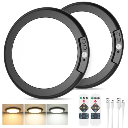 Rechargeable Motion Sensor Ceiling Light