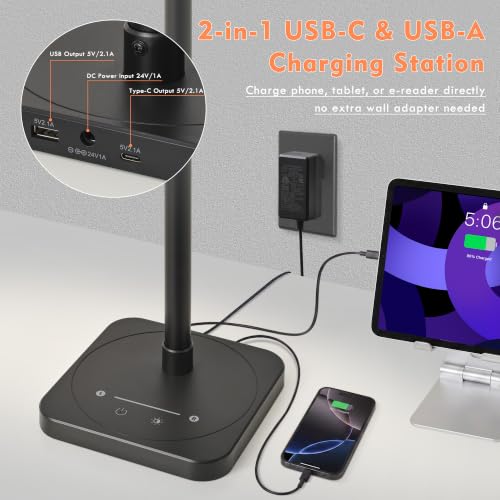 Desk Lamp for Home Office Dual Head 24W Swing Arm Task Lamp Black (Black / Large)