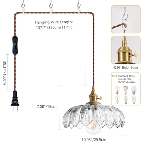 Plug in Pendant Light Hanging Lamp