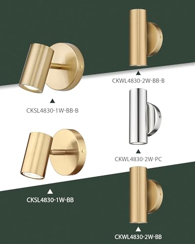 1 Light Wall Sconce