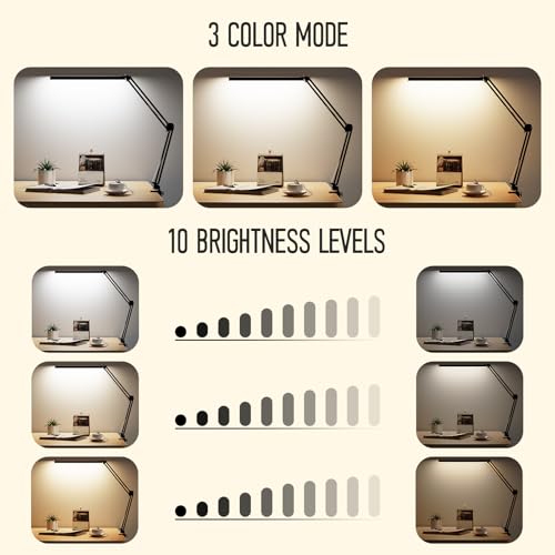 LED Desk Lamp