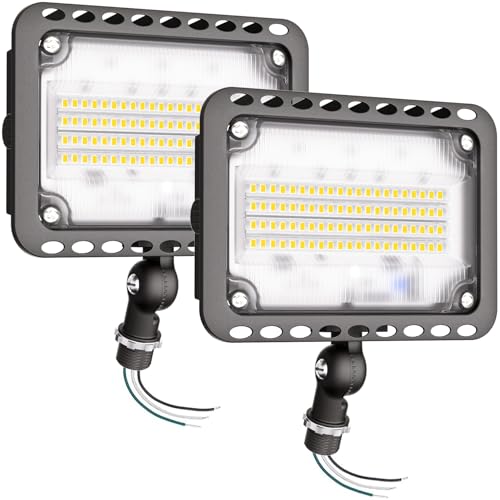 65W 9100LM LED Flood Lights Outdoor (2 Count)