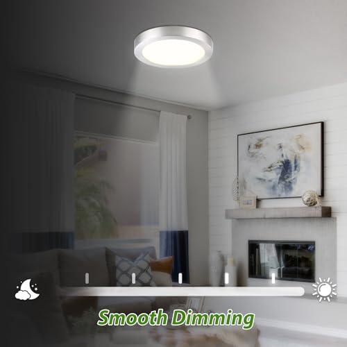 Flush Mount Ceiling Light Fixture (2 Count)