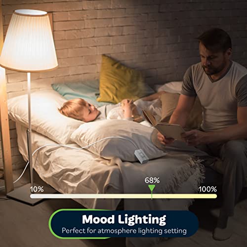Plug in Dimmer Switch for Lamps