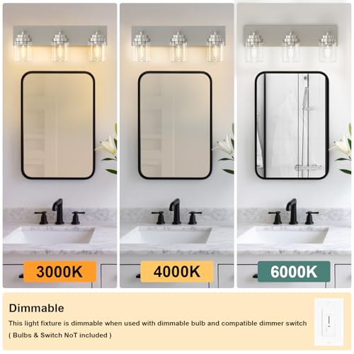 Bathroom Vanity Light Fixture