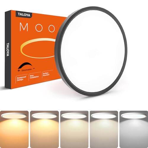 Dimmable Flush Mount Ceiling Light