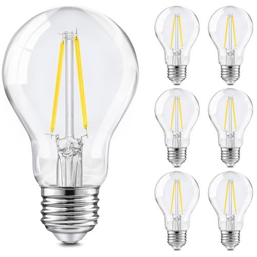 6 Pack A19 Vintage LED Edison Bulbs (6 Count)