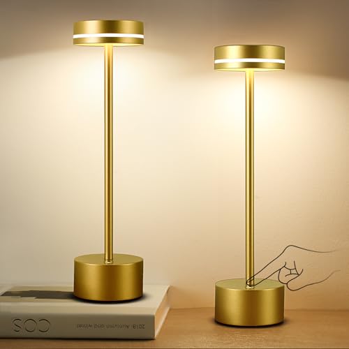 2 Pack LED Cordless Table Lamp Rechargeable (2 Count)