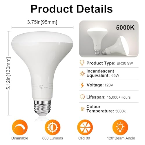 12 Pack BR30 Flood Light Bulb Indoor (12 Count)
