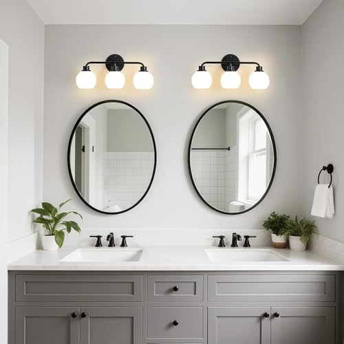2 Pack Lamp Glass Shade Globe (2 Count)