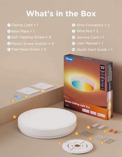 Smart Ceiling Light 4300LM 15 Inch