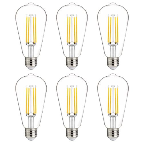 100W Equivalent LED Edison Bulbs (6 Count)