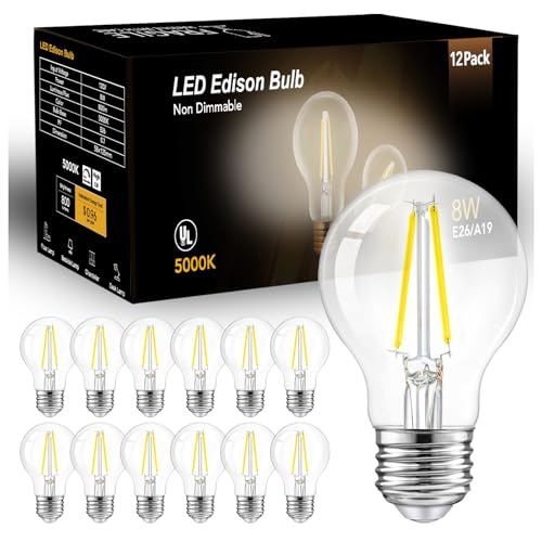 A19 Vintage LED Edison Bulbs (12 Count)