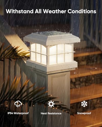 RGBCW Solar Post Cap Lights 12 (12 Count)