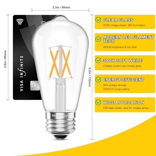 6 Pack Vintage LED Edison Bulbs (6 Count)
