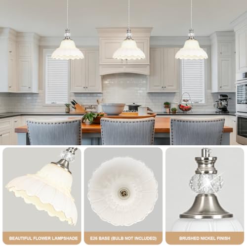 1 Piece Chandelier in Brushed Nickel Finish with White Flower (1-Light / Nickel and White)