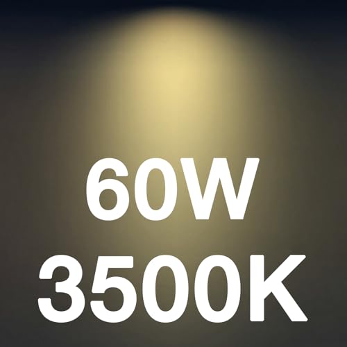 60W Equivalent LED Chandelier Light Bulbs (48 Count)