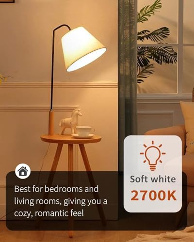 LED Light Bulbs (3 Count)