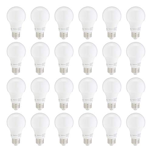 A19 LED Light Bulbs (24 Count)