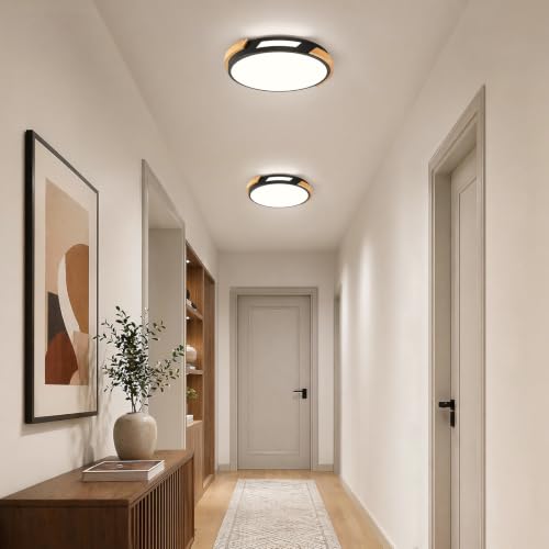 Modern LED Ceiling Light