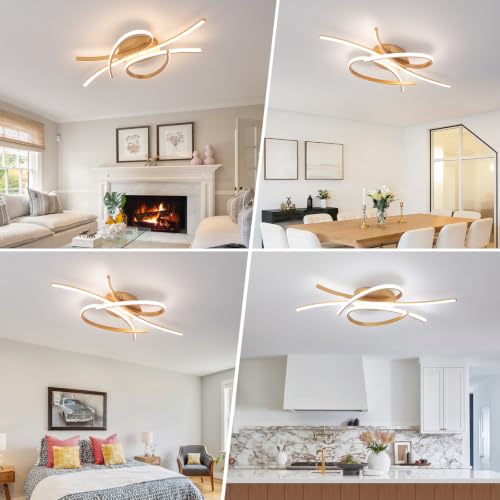 Modern LED Ceiling Light Fixture