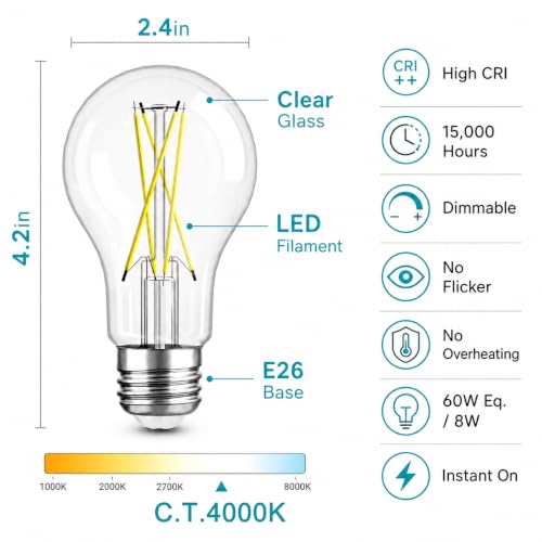 A19 Vintage Dimmable LED Light Bulbs (6 Count)