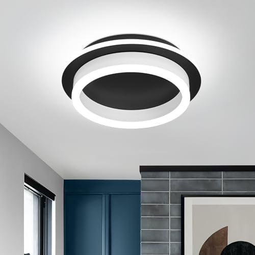 CAMEOE Modern Led Ceiling Light
