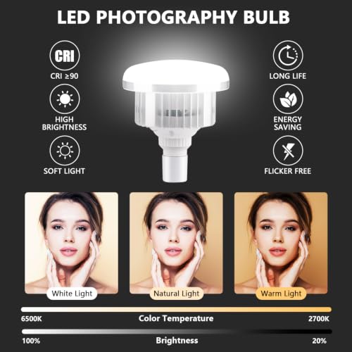 Softbox Lighting Kit