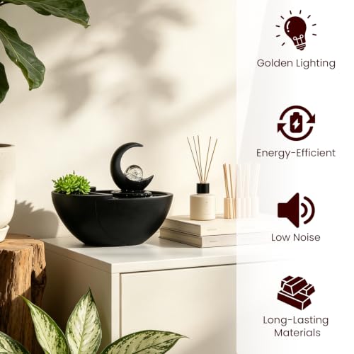 Table Fountain Indoor Water Zen Garden Decor with Succulent Plant