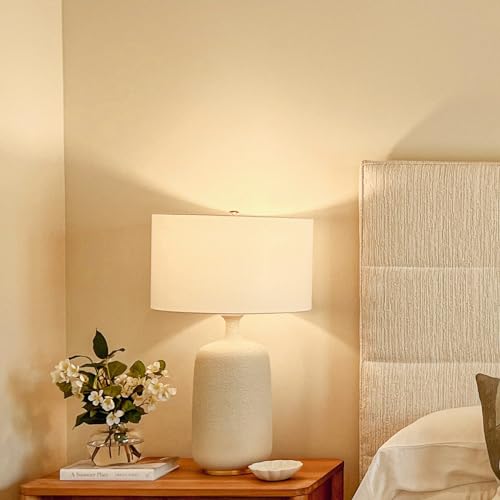 A19 LED Light Bulb Warmwhite 3000K 100 Watt Equivalent Non (6 Count)