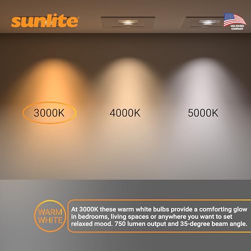 Reflector PAR30 LED Bulb (24 Count)