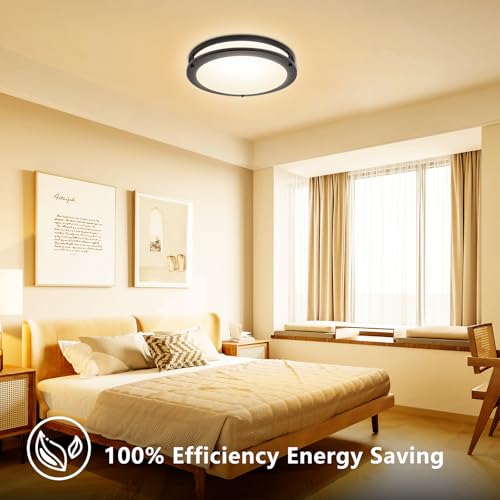 LED Flush Mount Ceiling Light Fixture Remote Dimmable Brushed Nickel (2 Count)