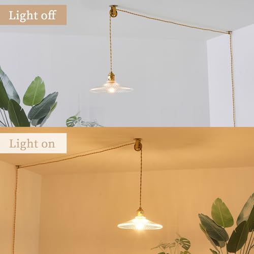 Hanging Lights with Plug in Cord