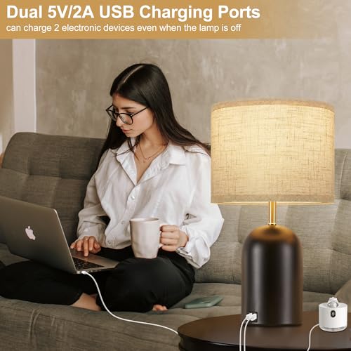 Touch Control Table Lamps Set of 2