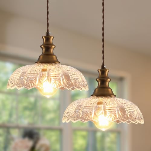 2 Pack Pendant Light Vintage Oil Rubbed Bronze Metal Glass Shade Chandelier