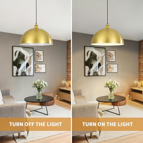 Large Brushed Gold Pendant Light