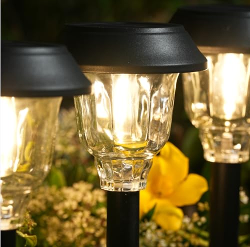 Solar Lights Outdoor Waterproof (6 Count)