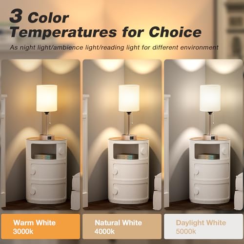 Small Bedside Table Lamp for Bedroom