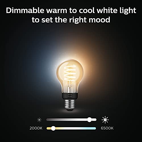 Smart 40W A19 Filament LED Bulb (2 Count)
